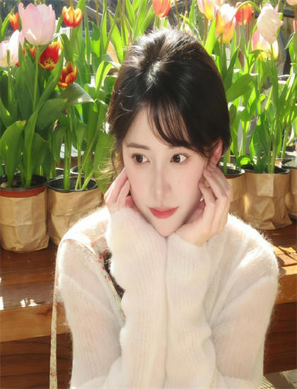 纪录片经典《美丽女人的内脏》的市场表现与观众反响 ——纪录片爱好者的必读指南